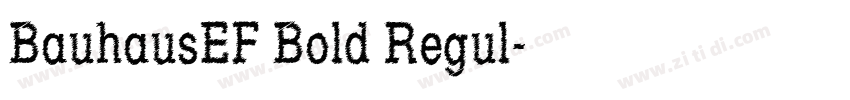 BauhausEF Bold Regul字体转换